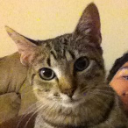 Photo of technogeek414