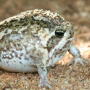 Photo of rsmaxwell