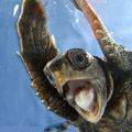 Photo of dbnewbie_2007