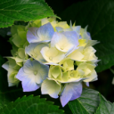 Photo of deniseglucas