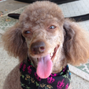 Photo of subiegirl