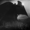 Photo of gareth.williams