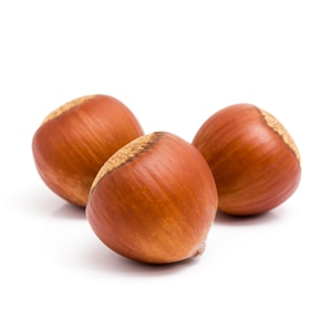 Photo of hazelnut