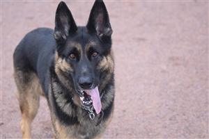 Photo of Moike