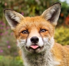 Photo of NateBradford