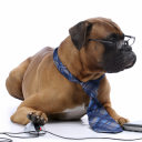 Photo of w_at_work