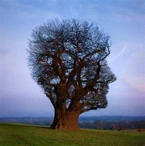Photo of NotQuiteGroot