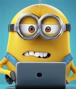 MMinion24