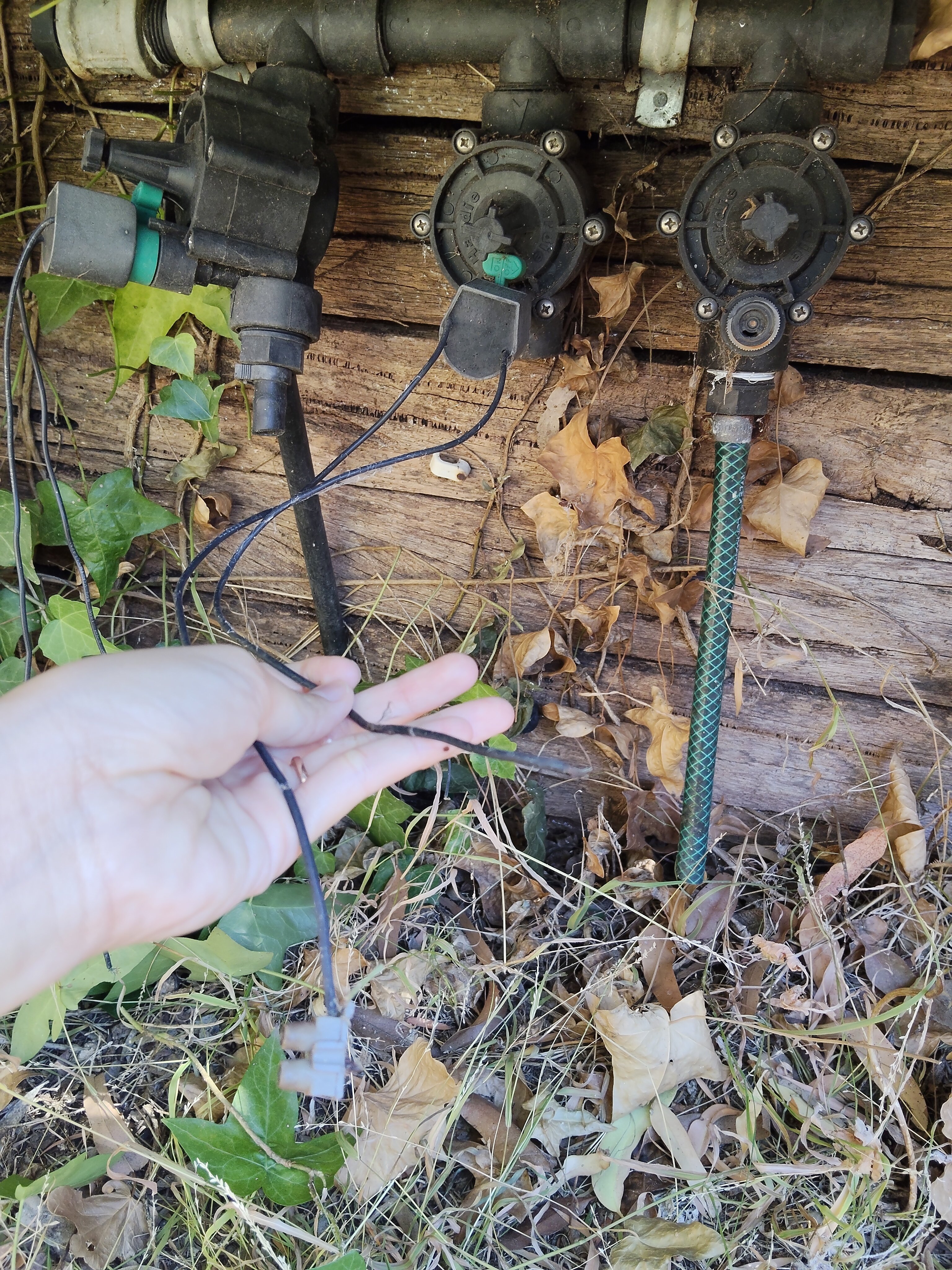 How to fix automatic irrigation system? - Bunnings Workshop community