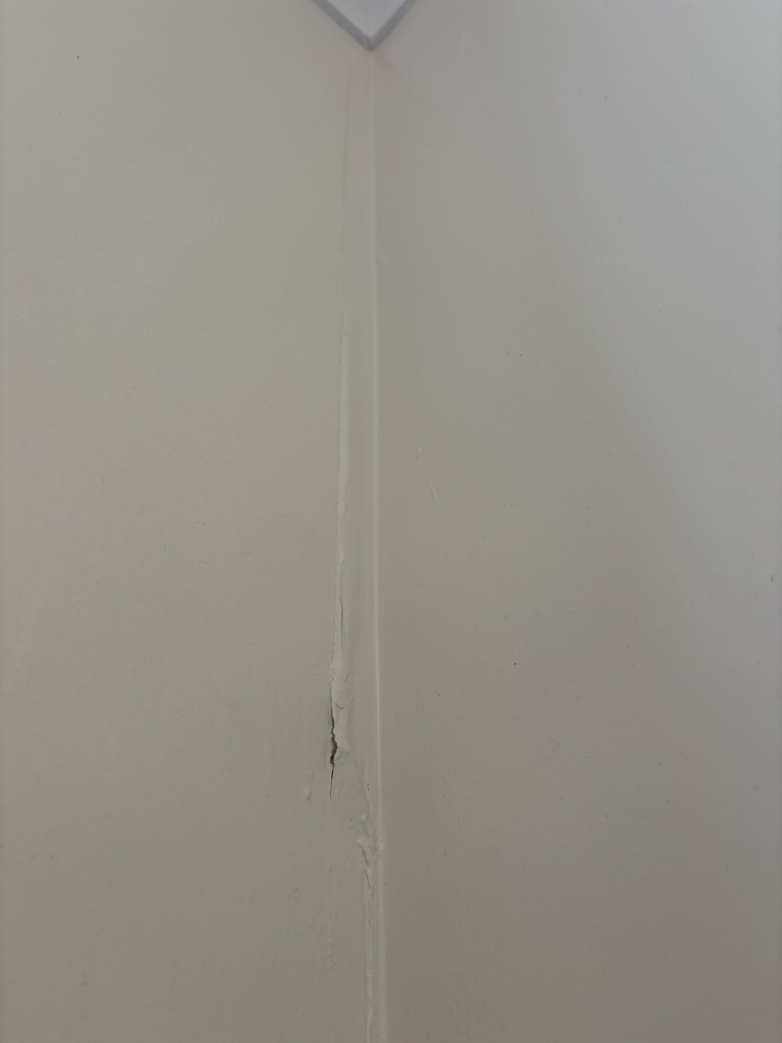 Low Level Plasterboard Rips How to repair lifted plasterboard in bathroom corner? - Bunnings ...
