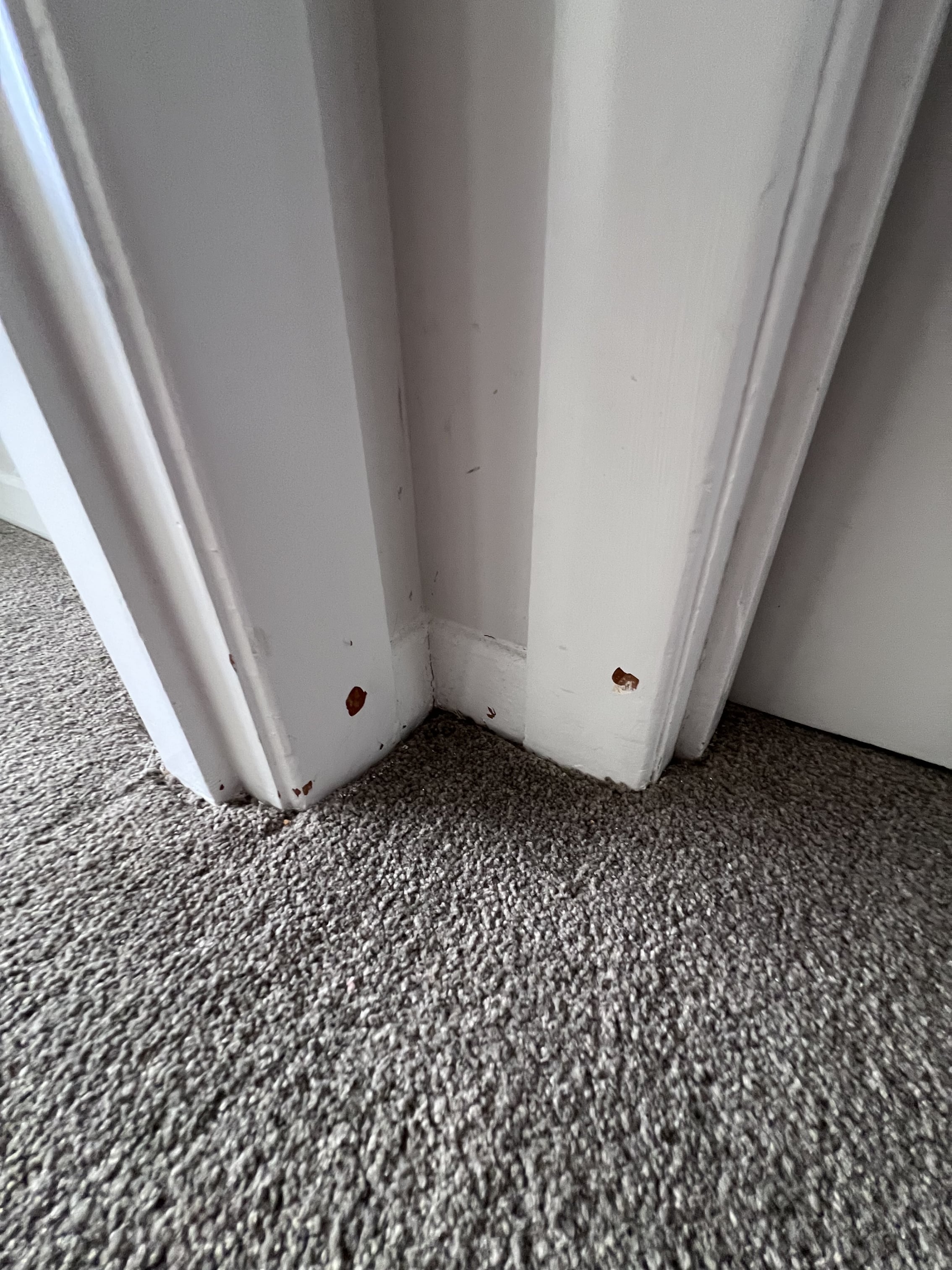 How to fix scraping marks on walls? - Bunnings Workshop community