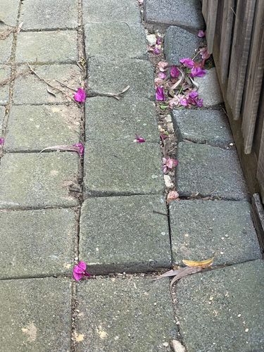 IMG_8143.jpeg IMG_8143.jpeg