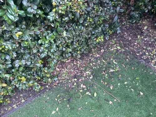 IMG_4136.jpeg IMG_4136.jpeg