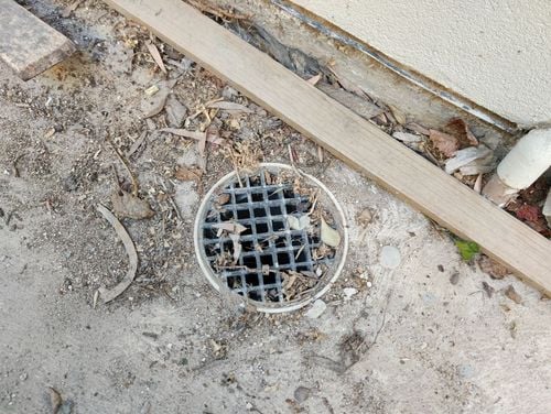 IMG_20240514_073511.jpg IMG_20240514_073511.jpg