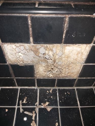 20240409_151340.jpg 20240409_151340.jpg