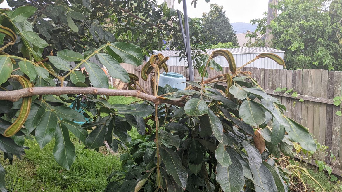 PXL_20220111_005803977.jpg PXL_20220111_005803977.jpg