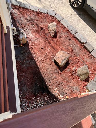 IMG_9433.jpeg IMG_9433.jpeg