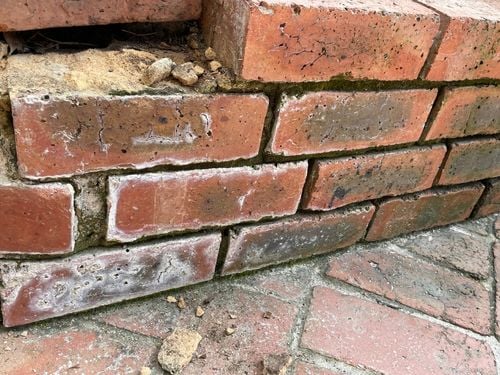 IMG_8140.jpeg IMG_8140.jpeg