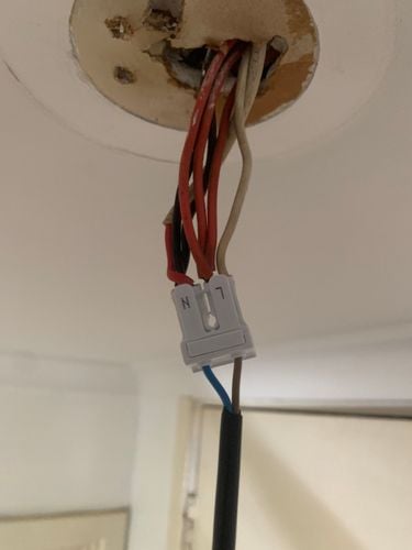 0A57B49E-BDFF-406D-8E6C-55D6A7B89B0D.jpeg 0A57B49E-BDFF-406D-8E6C-55D6A7B89B0D.jpeg