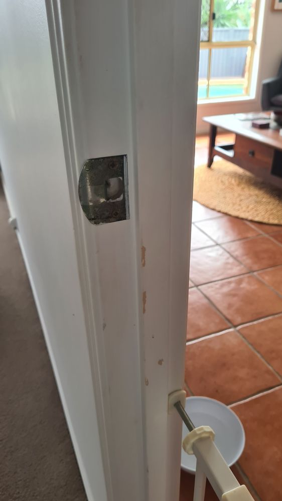 20240409_104254.jpg 20240409_104254.jpg