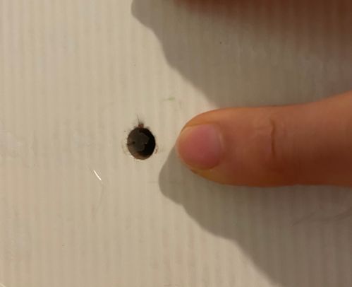 IMG_3682.jpeg IMG_3682.jpeg