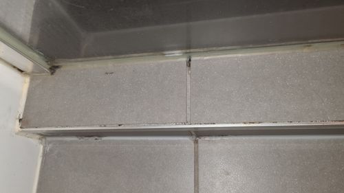 20230507_174141.jpg 20230507_174141.jpg