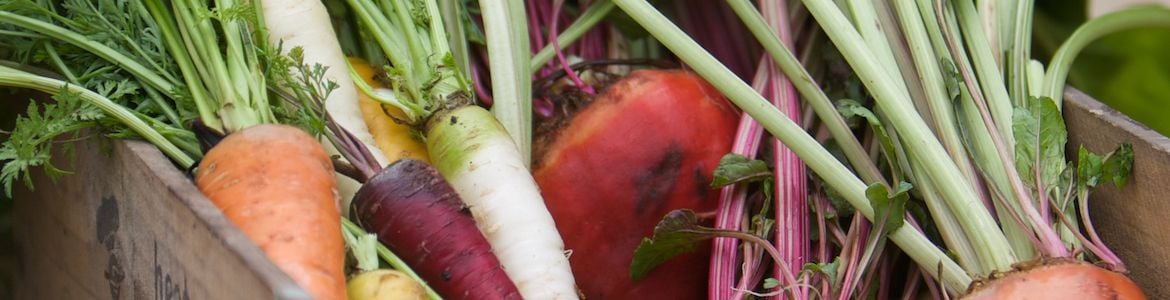 BANNER 01.jpg BANNER 01.jpg