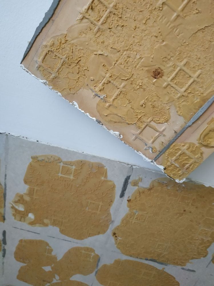 old tile and adhesive glue.jpg old tile and adhesive glue.jpg