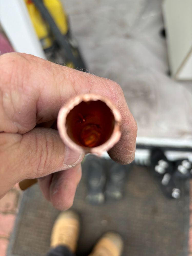 IMG_8430.jpeg IMG_8430.jpeg