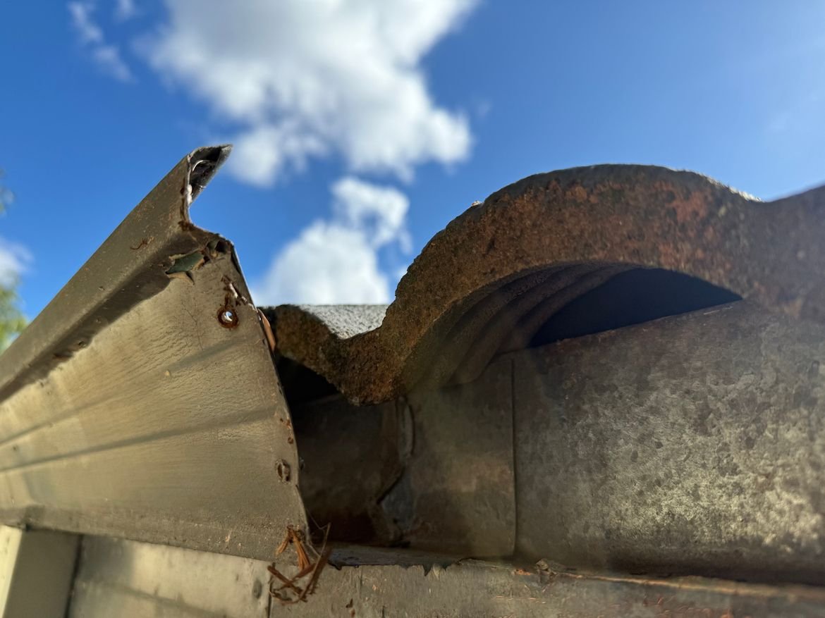 IMG_7214.jpeg IMG_7214.jpeg