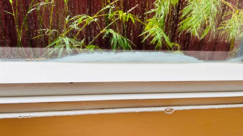 IMG_8126.jpeg IMG_8126.jpeg