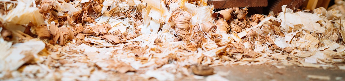 Shavings.jpg Shavings.jpg