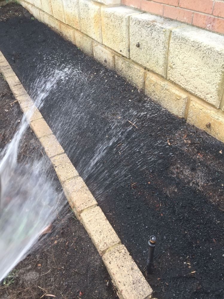 2A44AD8B-F778-42C3-AC1C-D2B58372B6E2.jpeg 2A44AD8B-F778-42C3-AC1C-D2B58372B6E2.jpeg