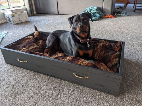 D.I.Y. slide-out dog bed.jpg D.I.Y. slide-out dog bed.jpg