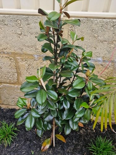 20251106_094326.jpg 20251106_094326.jpg