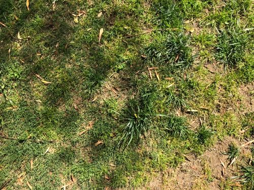 6B323CF6-9B09-4307-B0AC-5E755266E70C.jpeg 6B323CF6-9B09-4307-B0AC-5E755266E70C.jpeg