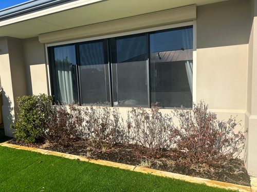 IMG_2279.jpeg IMG_2279.jpeg