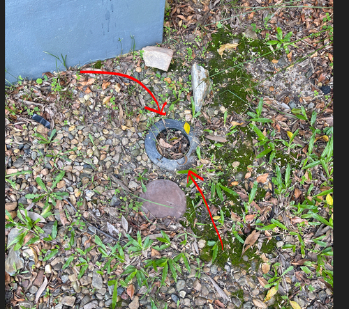 Sugar_3-1738187708469.png Sugar_3-1738187708469.png