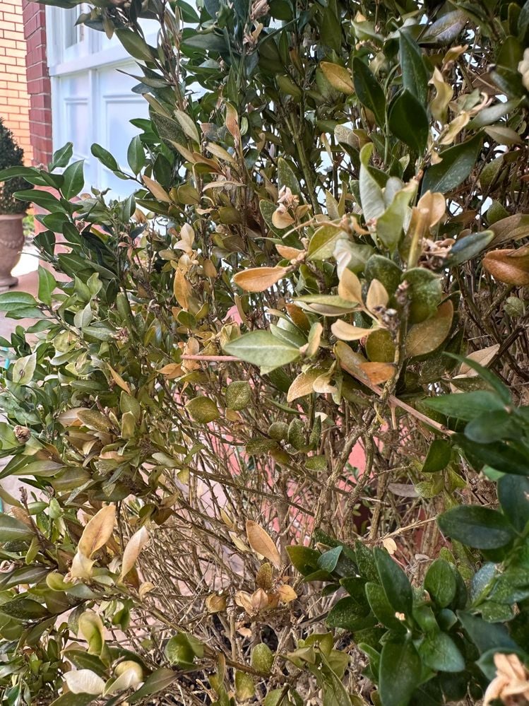 IMG_8177.jpg IMG_8177.jpg