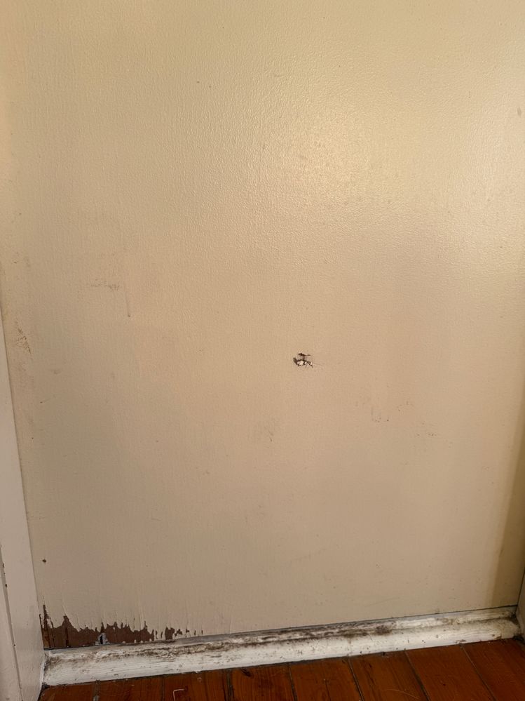 IMG_8803.JPG IMG_8803.JPG