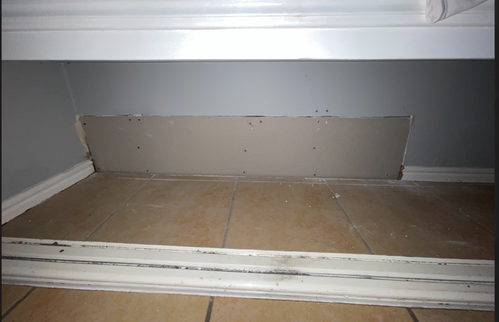 Sugar_3-1740650570376.png Sugar_3-1740650570376.png