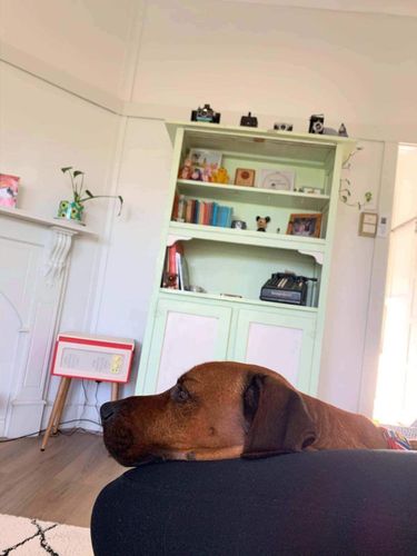 8AF6C0BA-257A-49C4-8A31-286C1F8F9CCC.jpeg 8AF6C0BA-257A-49C4-8A31-286C1F8F9CCC.jpeg