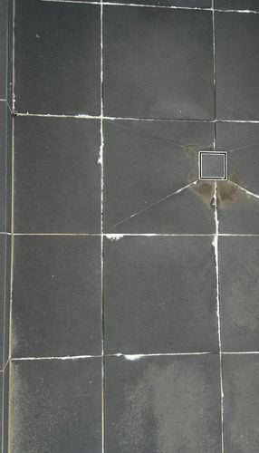 IMG_0185.jpeg IMG_0185.jpeg