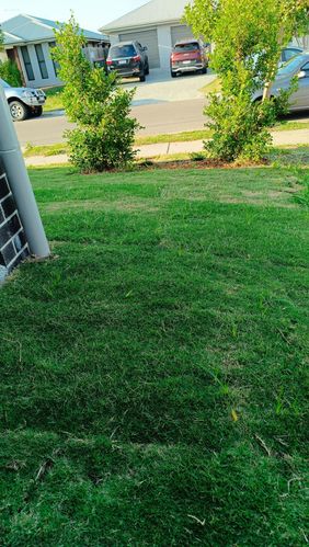 1000046595.jpg 1000046595.jpg