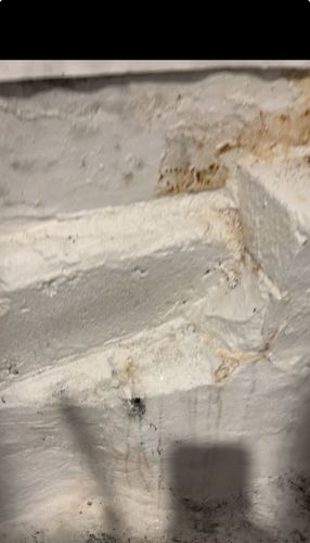 IMG_6617.jpeg IMG_6617.jpeg