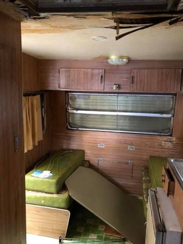 Frankie1.1.jpg Frankie1.1.jpg