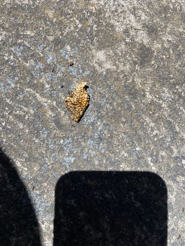 IMG_7708.jpeg IMG_7708.jpeg