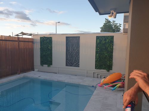 20210407_171813.jpg 20210407_171813.jpg