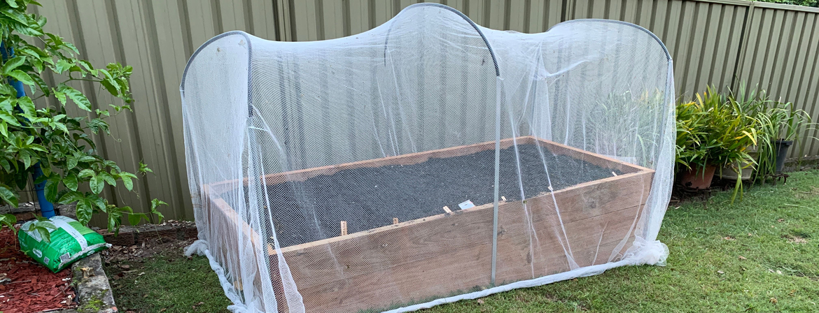 raised bed.png raised bed.png