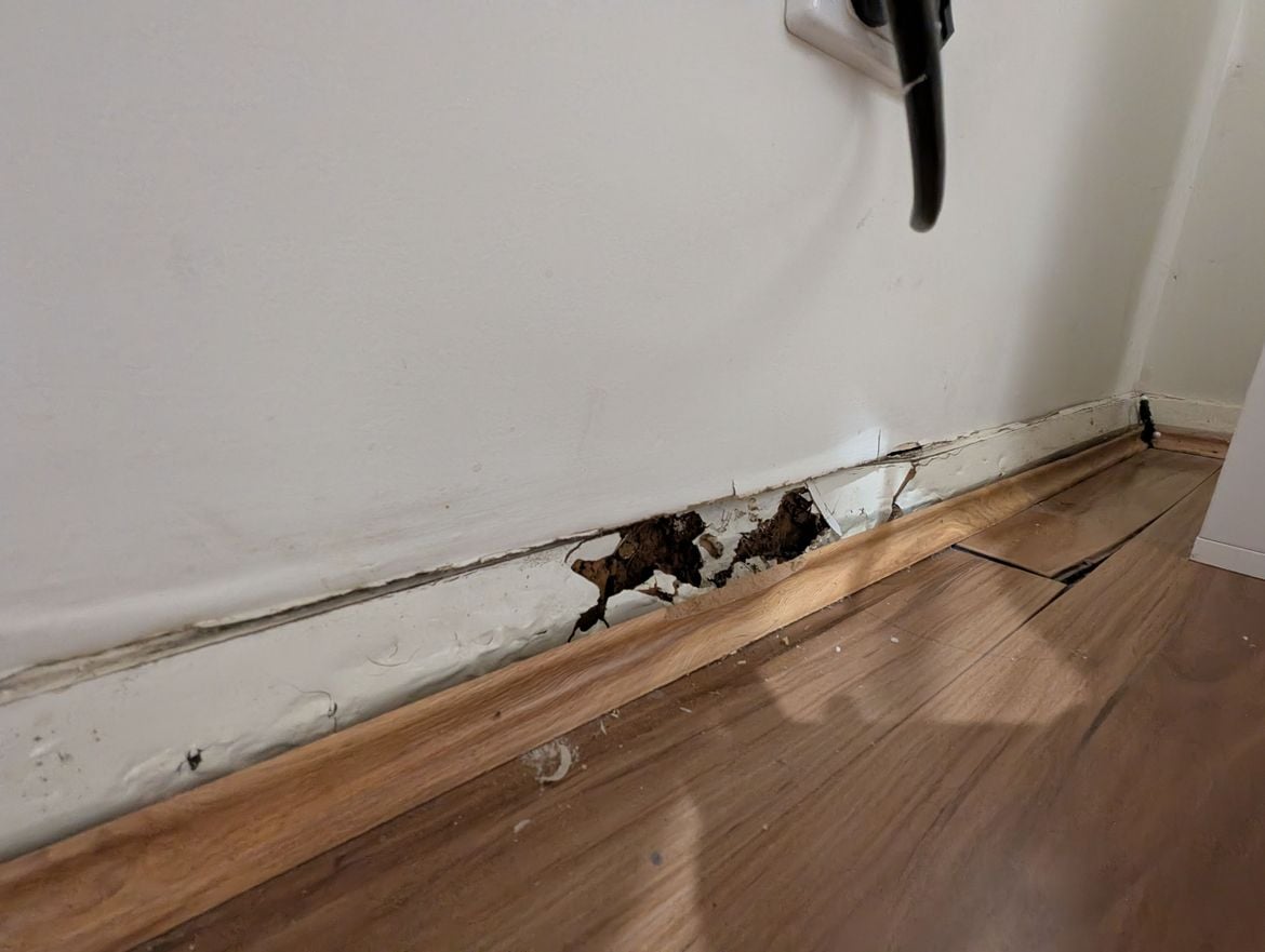 PXL_20260119_104537905.NIGHT.jpg PXL_20260119_104537905.NIGHT.jpg